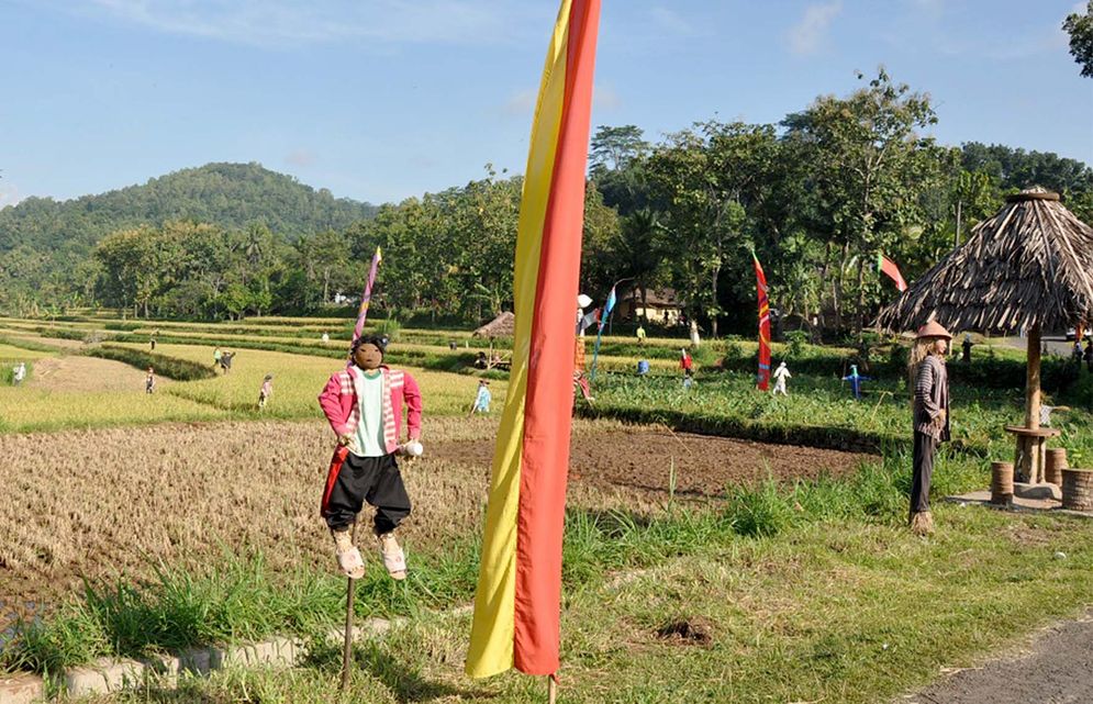 04022022-UNY Memedi Sawah.JPG