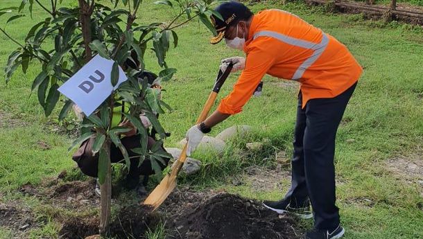 Dukung BUMN Hijaukan Indonesia, KAI Divre IV Tanjungkarang Tanam Pohon di Sejumlah Stasiun