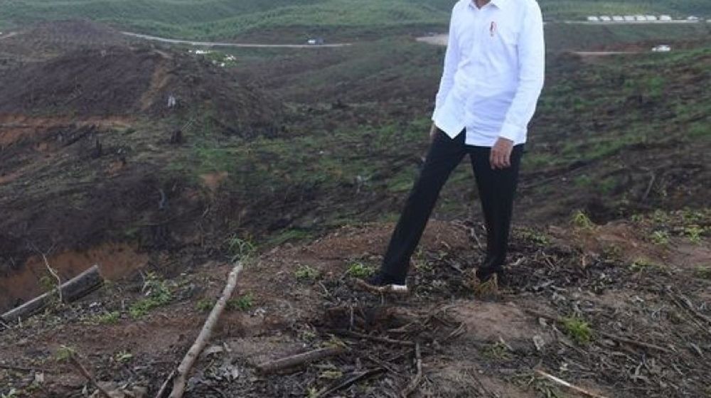 Jokowi akan Berkemah di Titik Nol IKN Nusantara pada 14 Februari.jpg