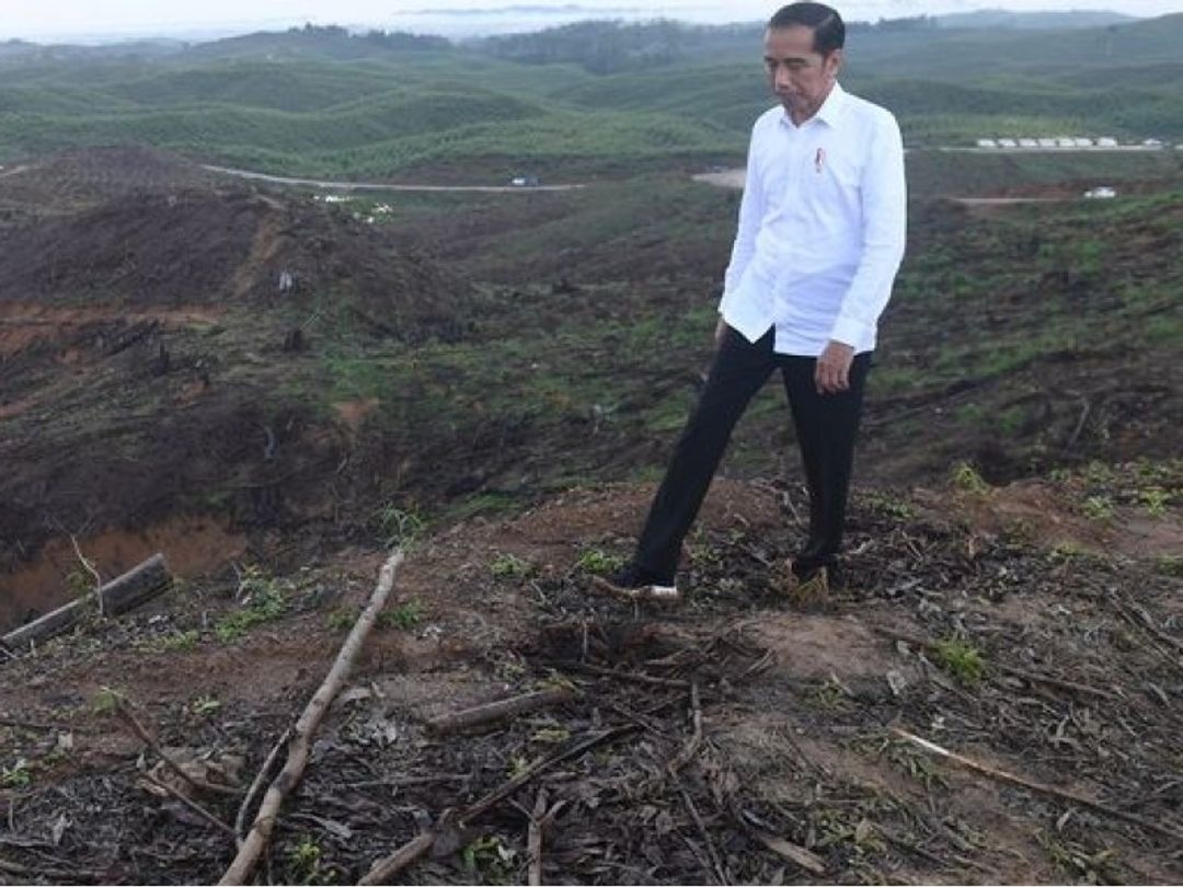 Presiden Joko Widodo meninjau lokasi ibu kota negara (IKN) Nusantara di Kalimantan Timur.