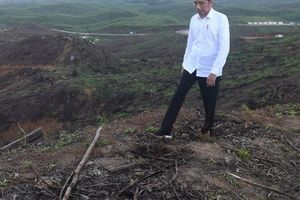 Jokowi akan Berkemah di Titik Nol IKN Nusantara pada 14 Februari.jpg