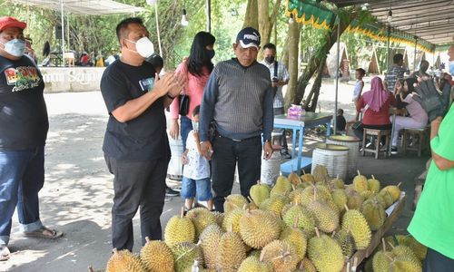 senja ngelo.jpg