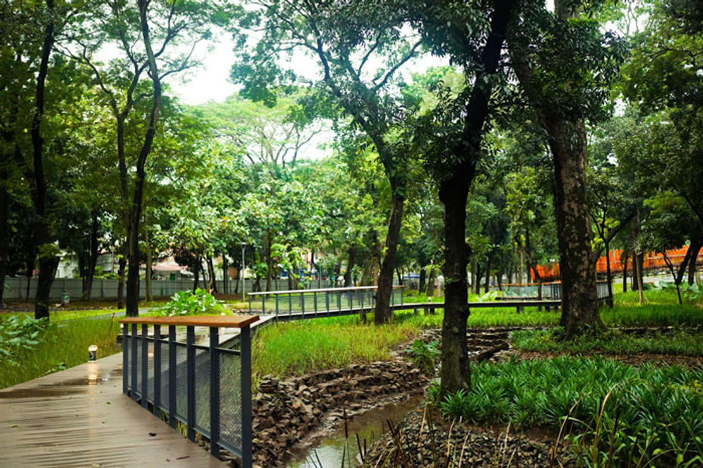 tebet-eco-park-1.jpg