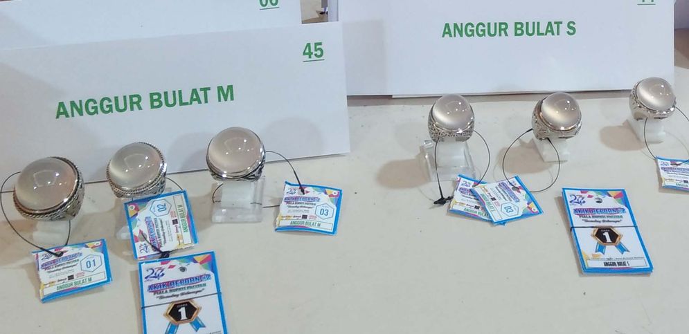 Kalsedon putih pacitan.jpg