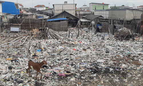 Jakarta Darurat Sampah .jpg