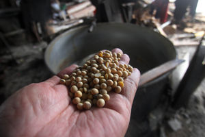 Pabrik Tahu Mogok Produksi - Panji 1.jpg