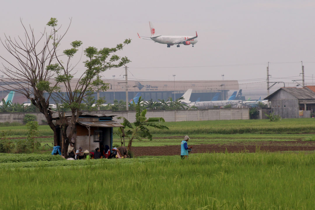 Petani beraktivitas di lahan persawahan kawasan Tangerang, Banten. Foto: Ismail Pohan/TrenAsia