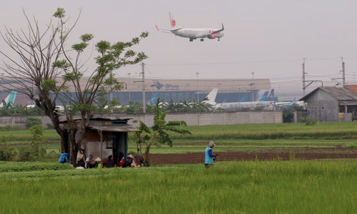 Transformasi Sektor Pertanian.jpg