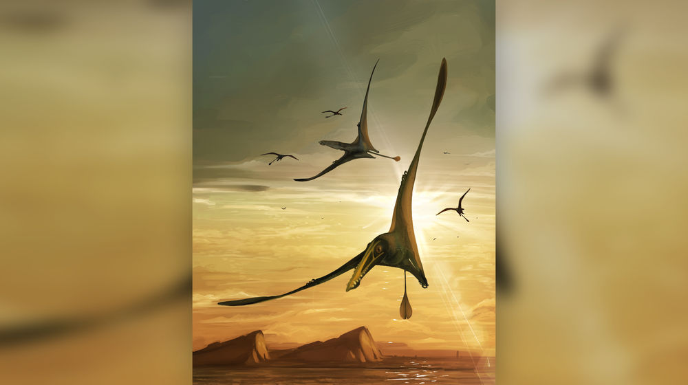Pterosaurus.jpg
