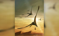 Pterosaurus.jpg