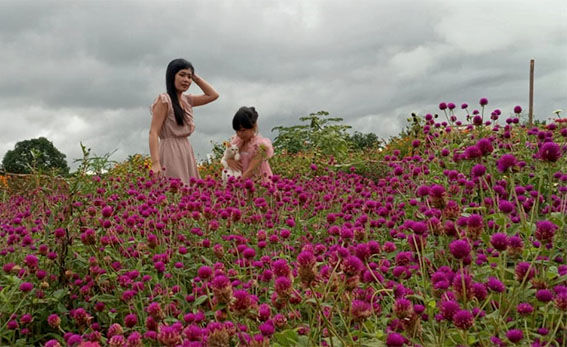 Dosen FAI UMM Berdayakan Masyarakat Melalui Taman Bunga Banjarsekar