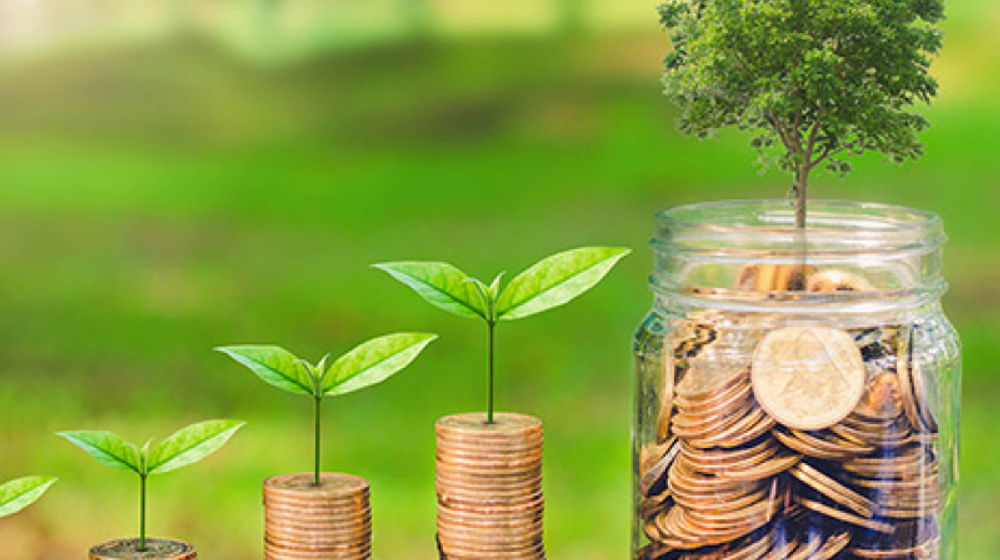 Gambaran Umum, Indikator dan Ruang Lingkup ESG.jpg