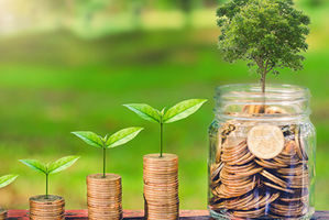 Gambaran Umum, Indikator dan Ruang Lingkup ESG.jpg