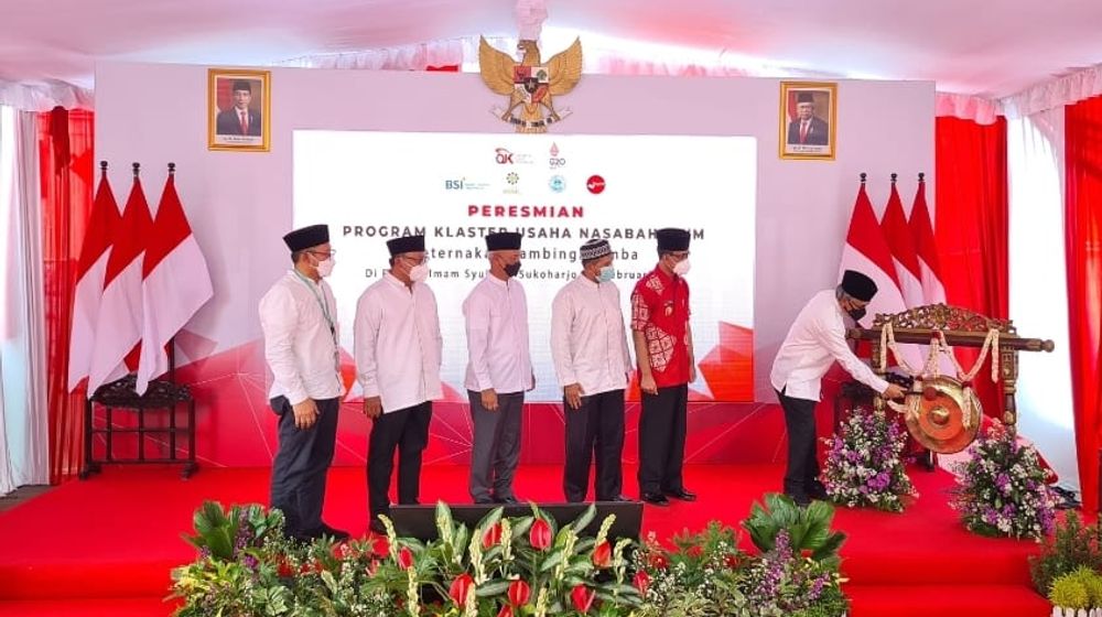 WhatsApp Image 2022-02-25 at 5.58.11 AM.jpeg