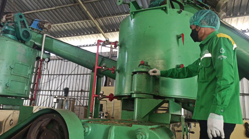 Proses produksi minyak kelapa Indo Pureco.jpg