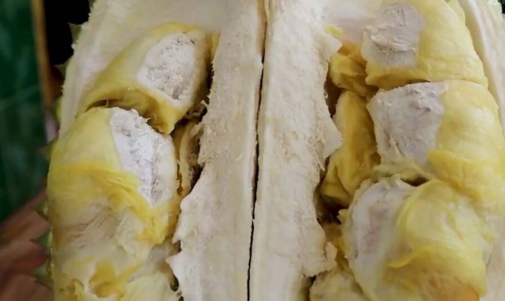 durian.jpg