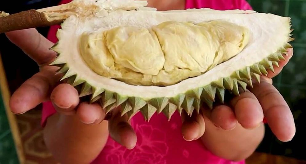 Halopacitan/Dias Lusiamala