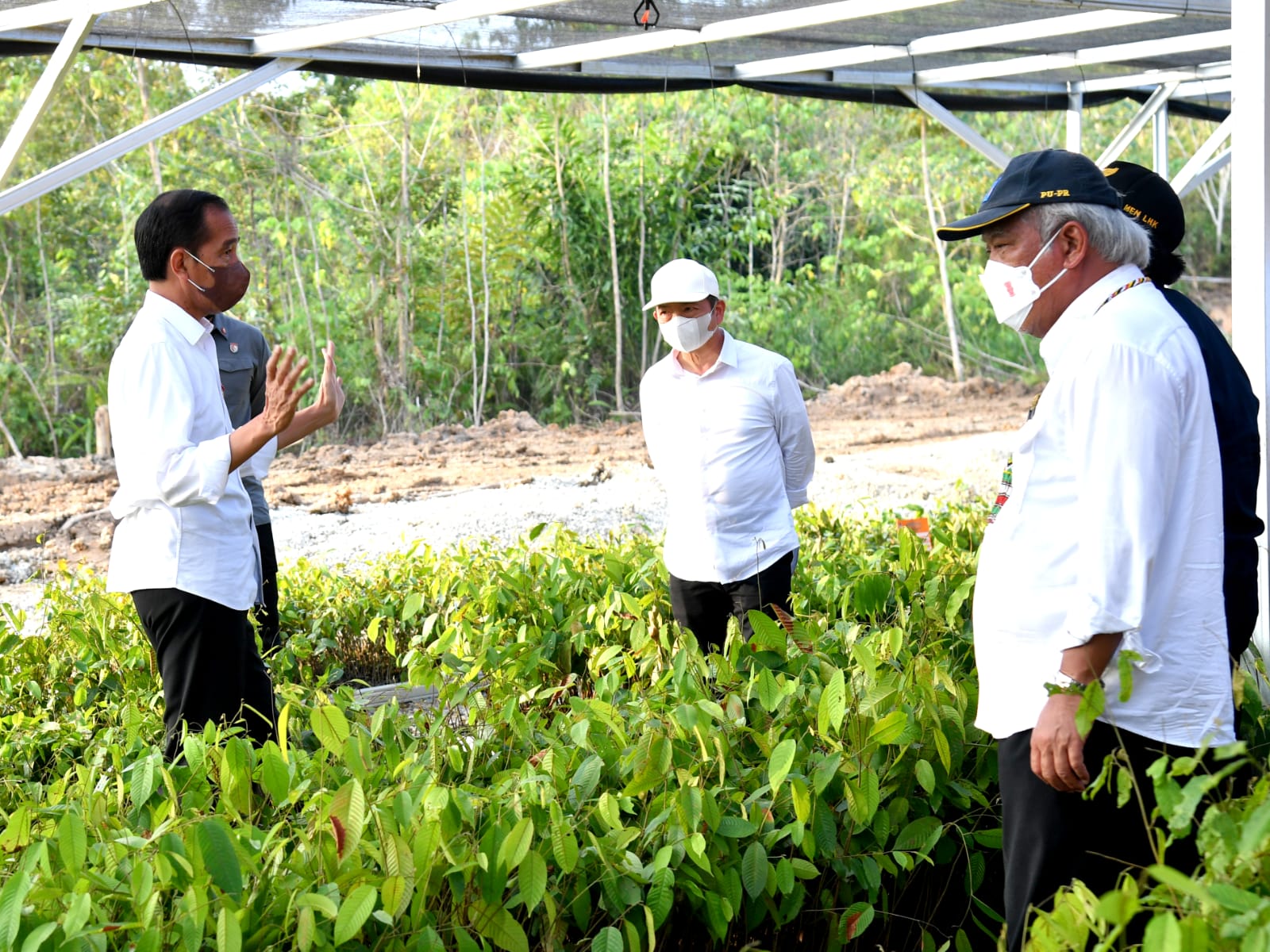 Presiden saat meninjau Persemaian Mentawir, PPU, Senin 14 Maret 2022