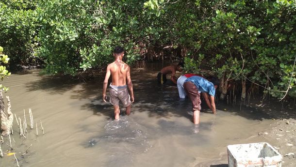 Tradisi 'Kremo' di Matim: 'Berburu Ikan di Air Payau Sembari Membangun Keakraban'