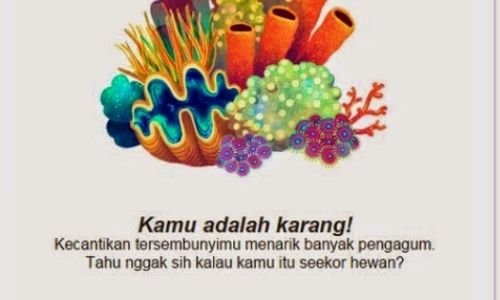 Screenshot_2022-03-16-10-09-12-77.jpg