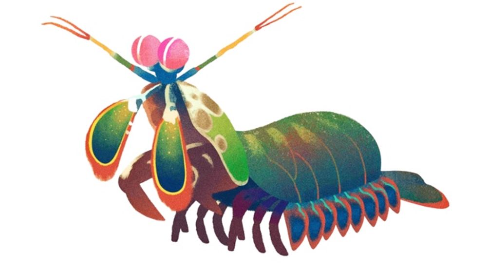 Cara Cek Link Kuis Hari Bumi yang Sedang Viral di Media Sosial