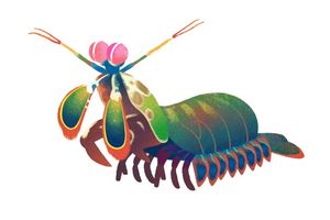 Cara Cek Link Kuis Hari Bumi yang Sedang Viral di Media Sosial