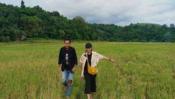 Sajian Keindahan Sawah Wae Mese Bikin Hati Tenang