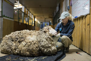 Screenshot 2022-03-19 at 10-47-13 ad7e54fc6bdfbd87d4a77894a768b9f9 (WEBP Image 862 × 575 pixels) — Scaled (98%).png