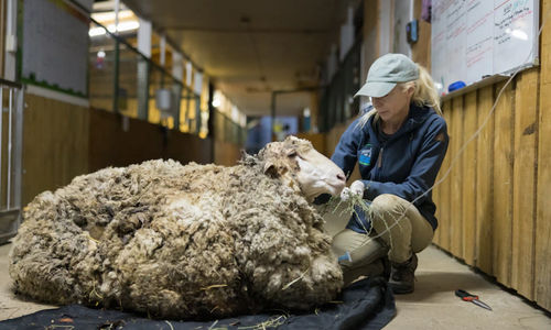 Screenshot 2022-03-19 at 10-47-13 ad7e54fc6bdfbd87d4a77894a768b9f9 (WEBP Image 862 × 575 pixels) — Scaled (98%).png