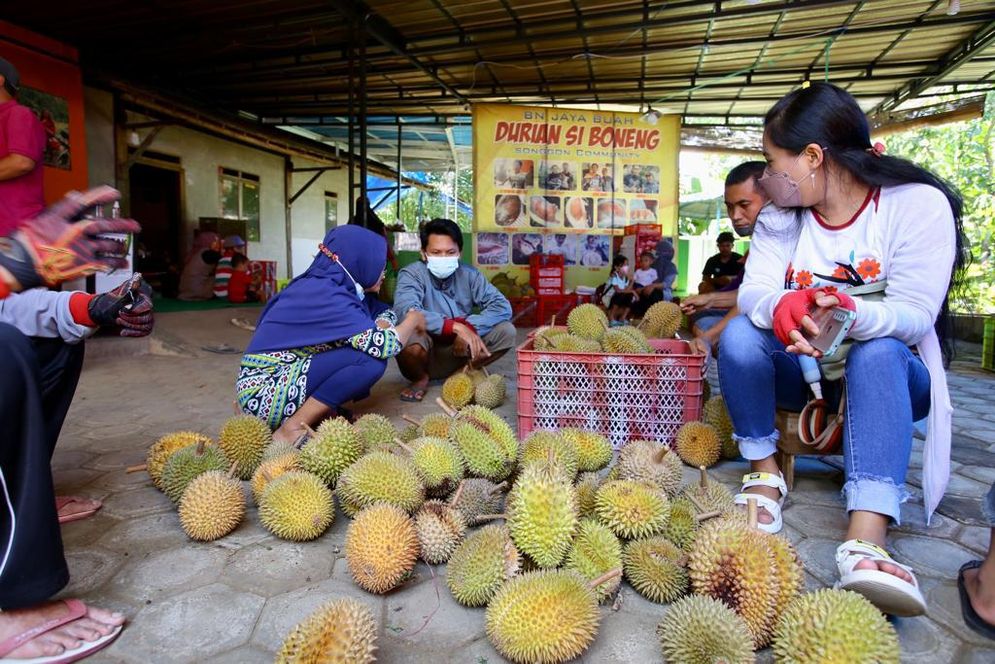 durian bnyuwangi.jpg