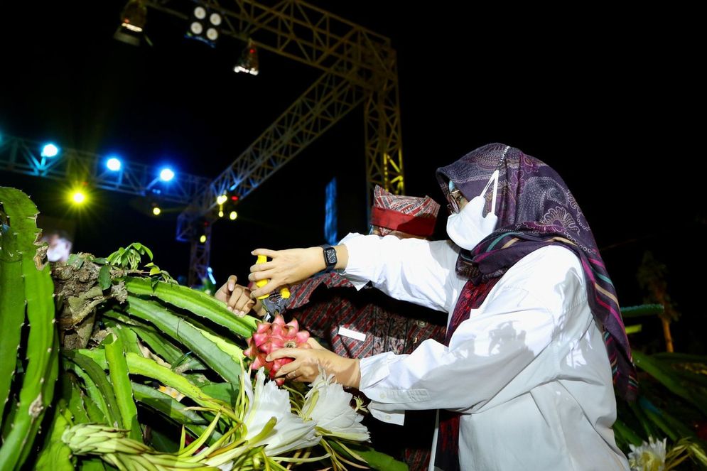 buah naga.jpg