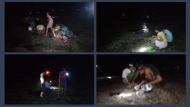 Tradisi Berburu 'Ule Nale' di Desa Sikka, Kabupaten Sikka