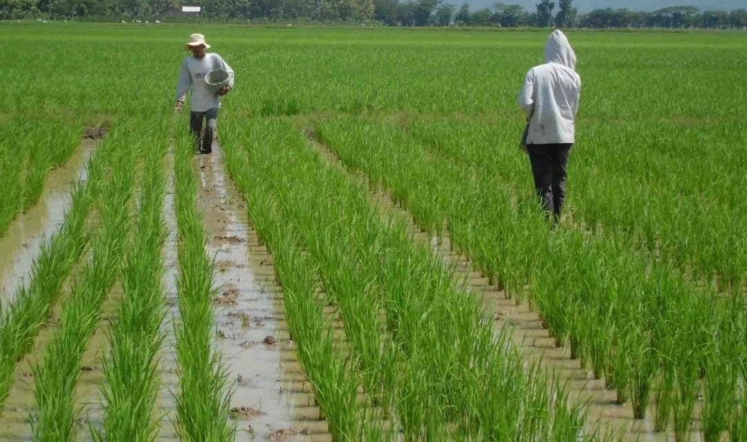 Pemkab PPU Gencarkan Upaya Penuhi Kebutuhan Sarana dan Prasarana Pertanian