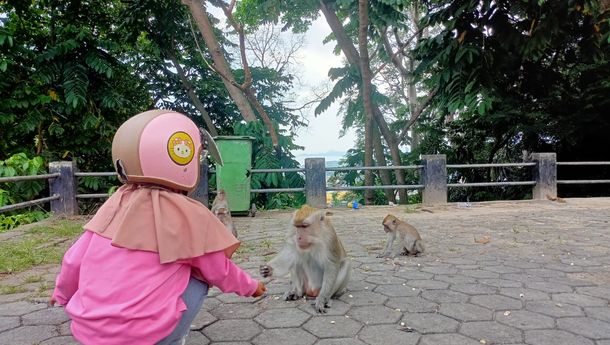 Taman Hutan Kera Bandar Lampung, Cocok untuk Ngabuburit di Bulan Ramadan