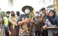 wiwitan eko proyo.jpg