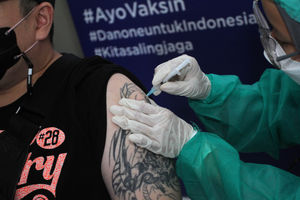 Vaksin Manula - Panji 4.jpg