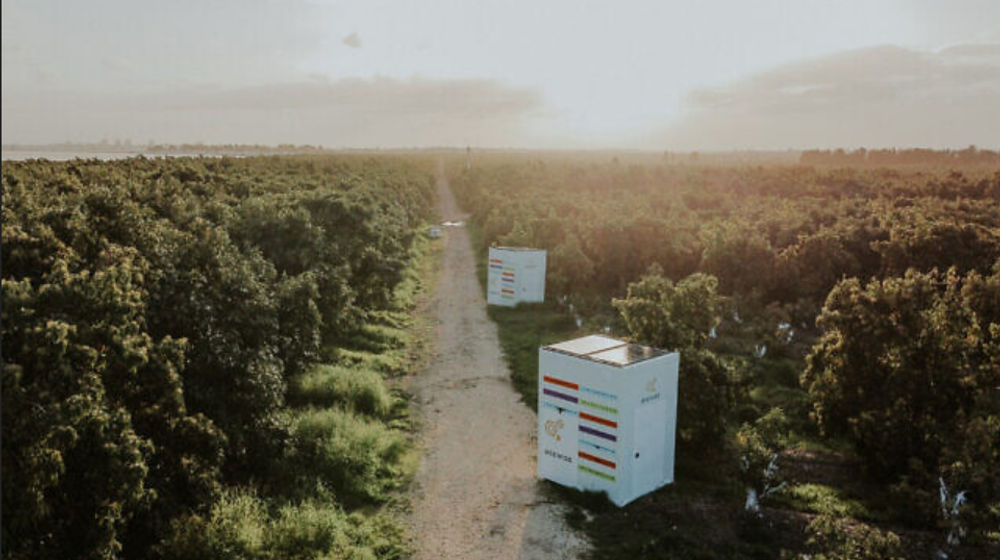 Screenshot 2022-03-31 at 11-47-39 Beehome-640x400.jpg (JPEG Image 640 × 400 pixels).png