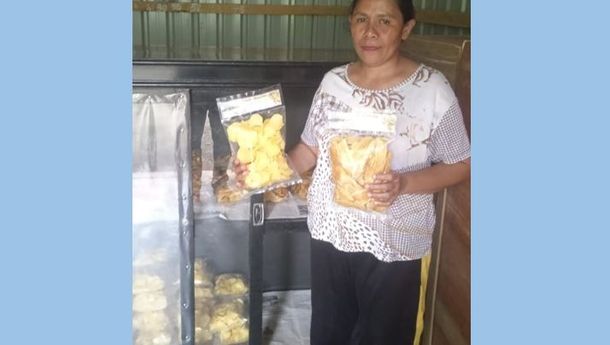 Kripik Weluwini 'Go Digital', Ende Bergerak Apresiasi Rumah BUMN