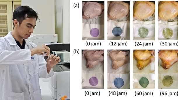 Itera Manfaatkan Limbah Sawit Jadi Kertas Pendeteksi Kesegaran Makanan