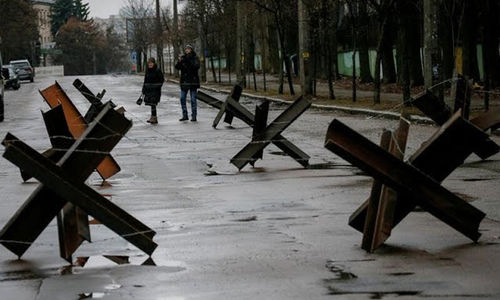 landak ceko.jpg