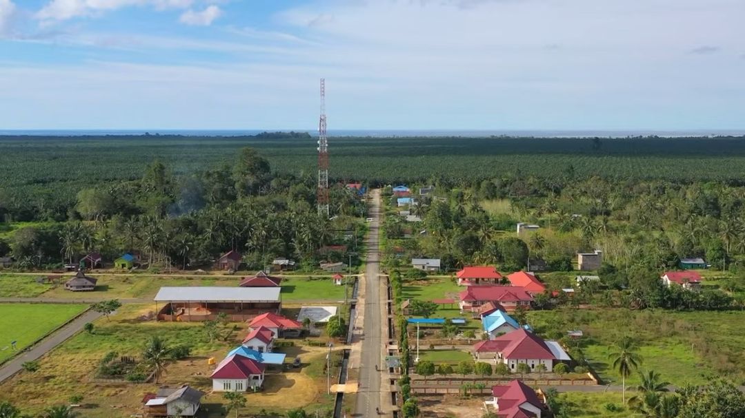 Salah satu perkebunan kelapa sawit TLDN