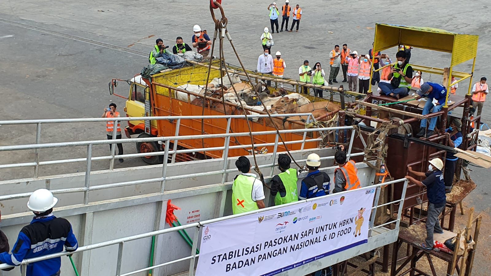 Badan Pangan Nasional mendatangkan sebanyak 2.000 sapi hidup asal Australia untuk memenuhi kebutuhan jelang hari besar keagamaan nasional (HBKN) 2022.