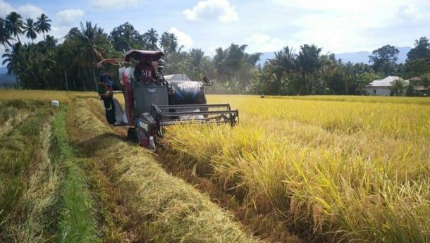 PPN Hasil Pertanian Hanya 1,1 Persen dari Harga Jual