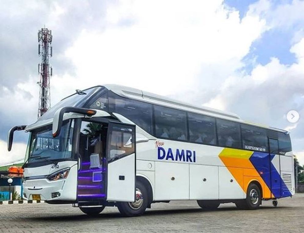 Ilustrasi armada Bus DAMRI.