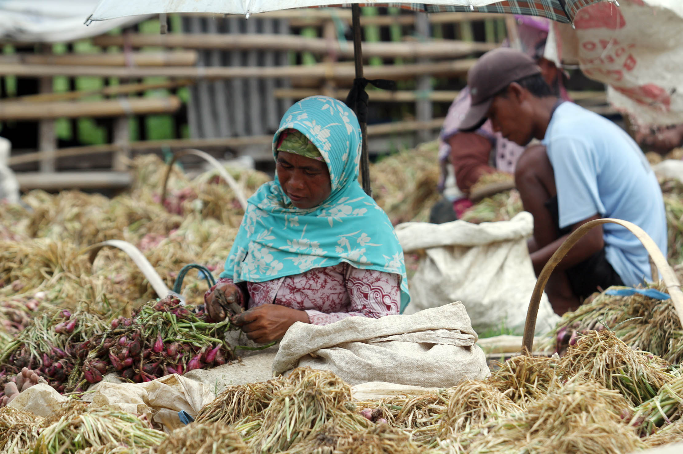 Nampak buruh tengah memilah memisahkan bawang merah dan daunnya di kawasan Desa Kaliwlingi Kabupaten Brebes, Minggu 17 April 2022. Foto : Panji Asmoro/TrenAsia