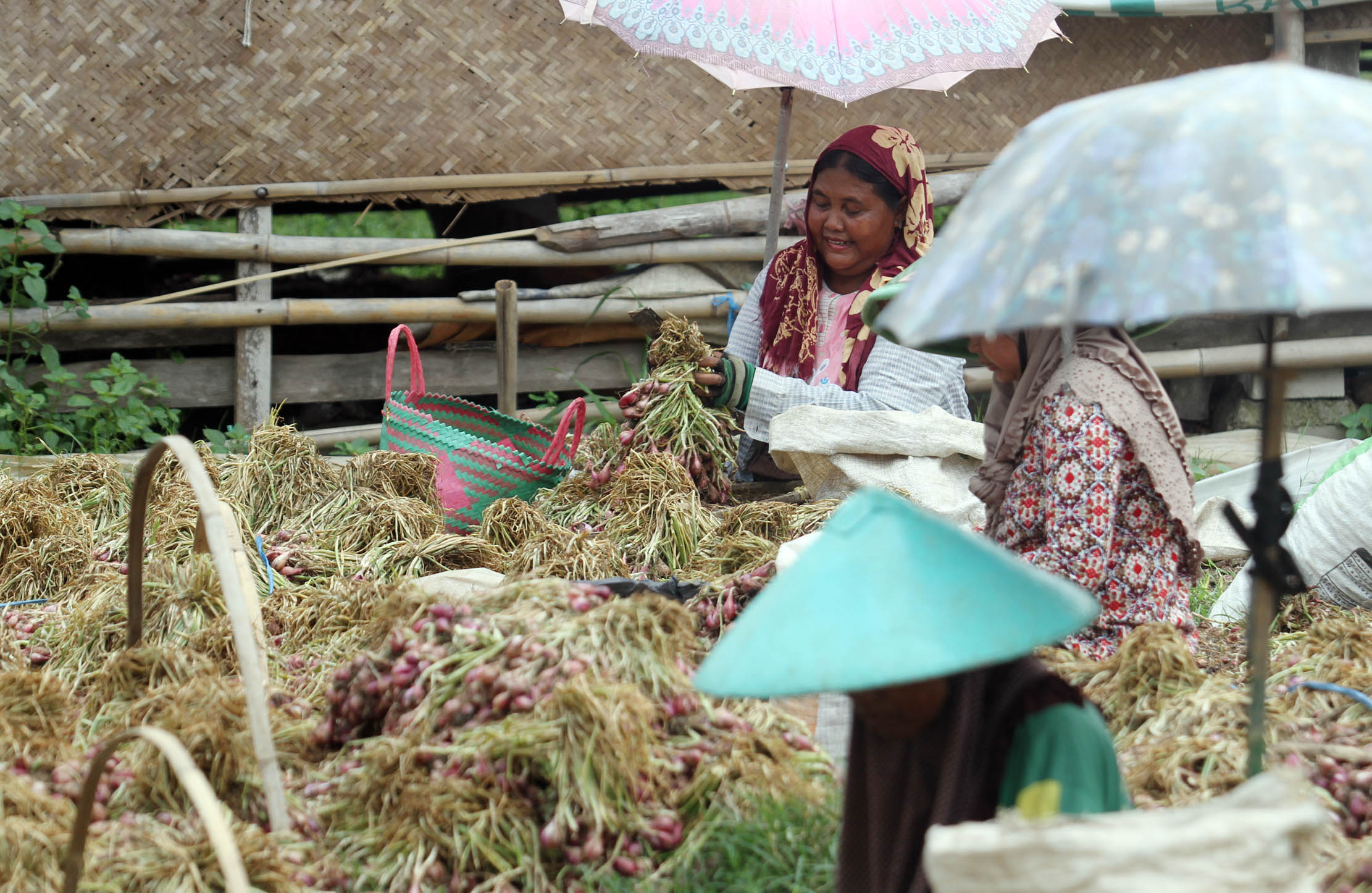 Nampak buruh tengah memilah memisahkan bawang merah dan daunnya di kawasan Desa Kaliwlingi Kabupaten Brebes, Minggu 17 April 2022. Foto : Panji Asmoro/TrenAsia