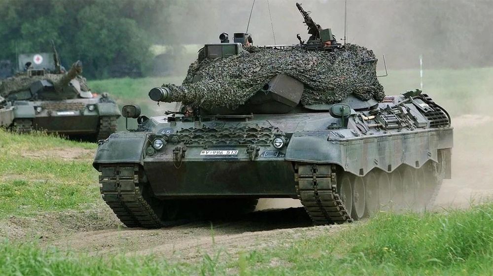 leopard1.jpg
