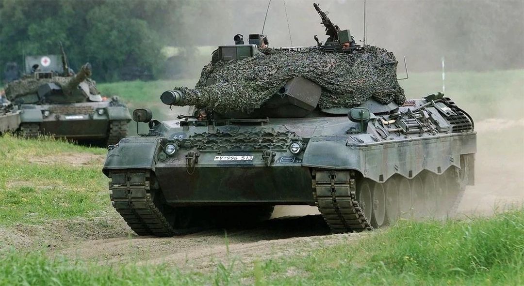 leopard1.jpg