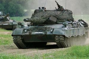 leopard1.jpg