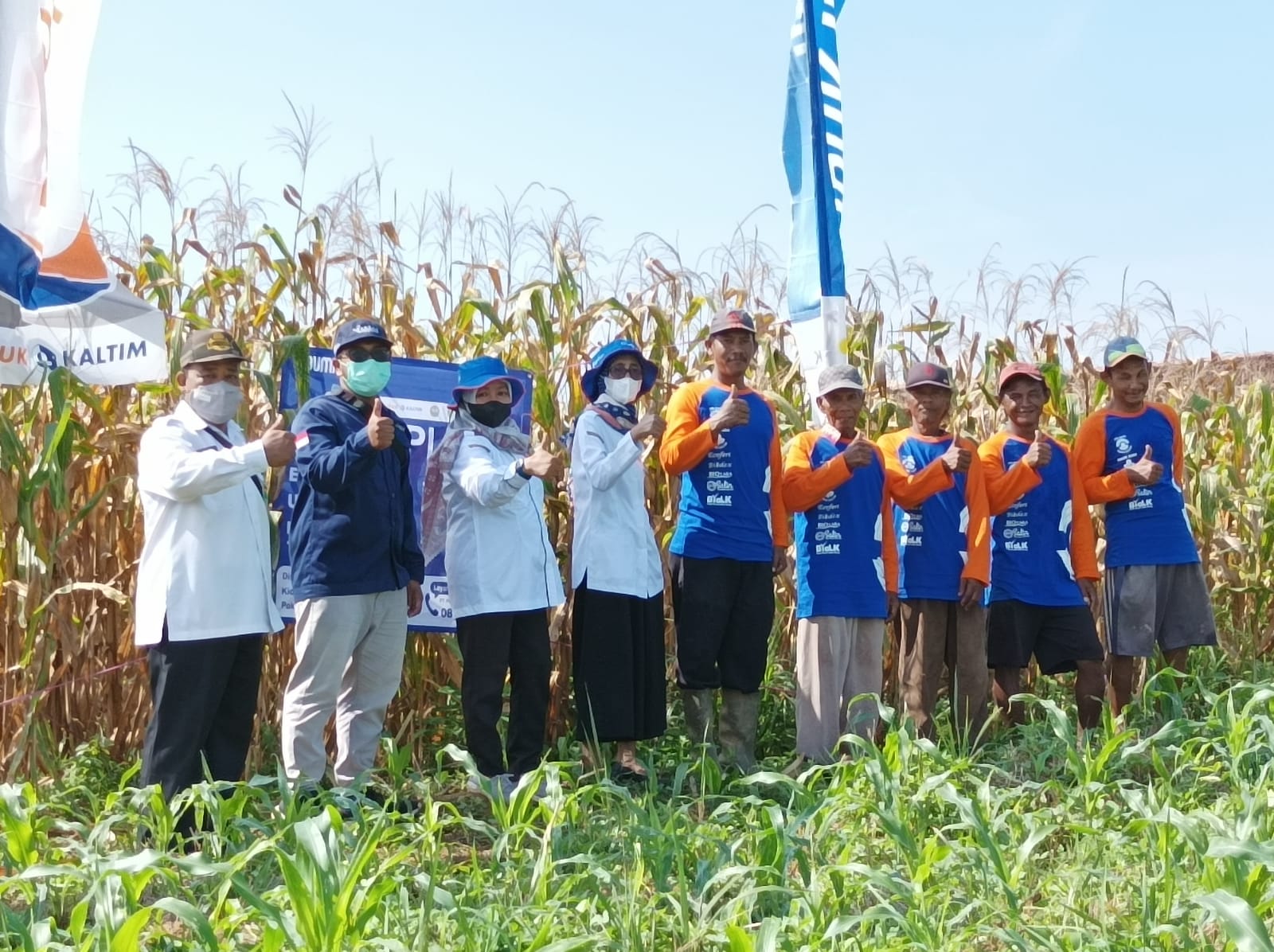 Petani di Banjarbaru merasakan langsung manfaat Demplot produk Pupuk Kaltim